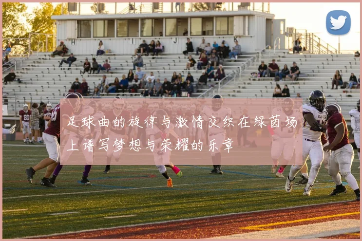 足球曲的旋律与激情交织在绿茵场上谱写梦想与荣耀的乐章