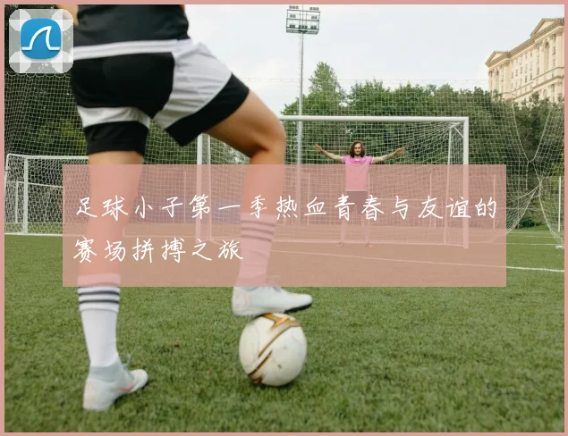 足球小子第一季热血青春与友谊的赛场拼搏之旅